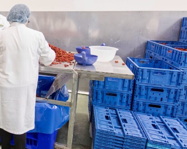Fiordelisi optimise sa logistique grâce aux caisses réutilisables de Tosca