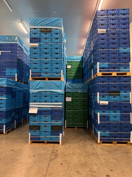 Fiordelisi optimise sa logistique grâce aux caisses réutilisables de Tosca