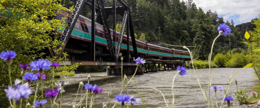 OUVERTURE DES VENTES DE PRINTEMPS