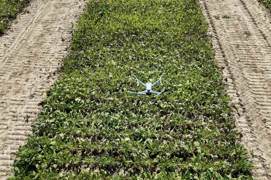 CLAAS Strengthens Digital Agronomy Through AI Field Analytics Investment