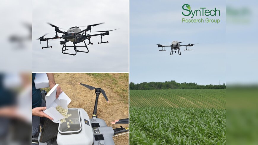 Drone-Based Crop Protection in Hungarian Maize