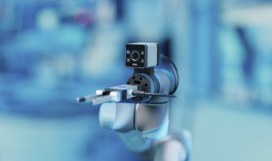 Machine Vision Systems for Intralogistics Automation
