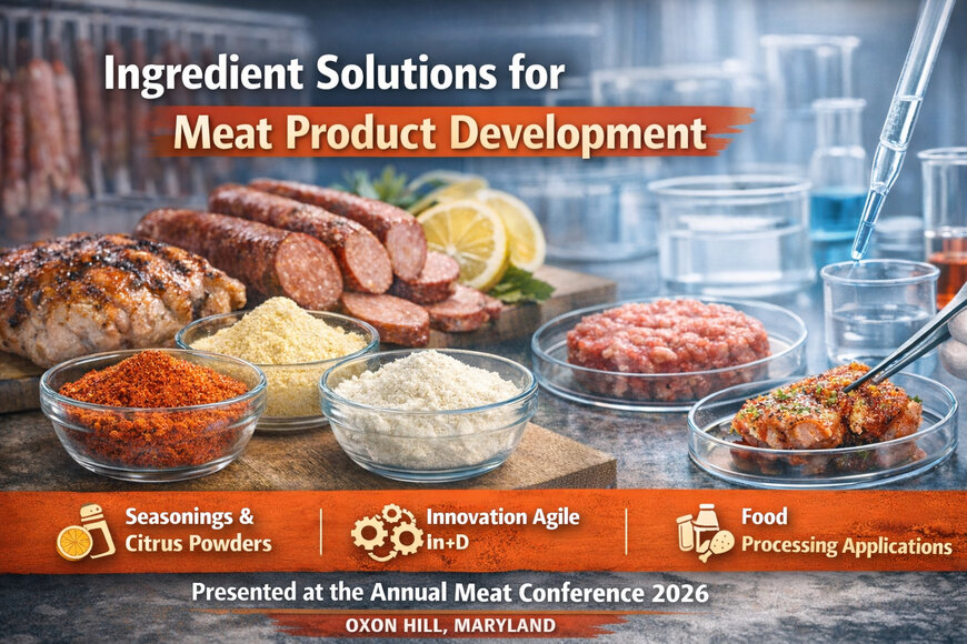 Ingredient Solutions for Meat Product Development