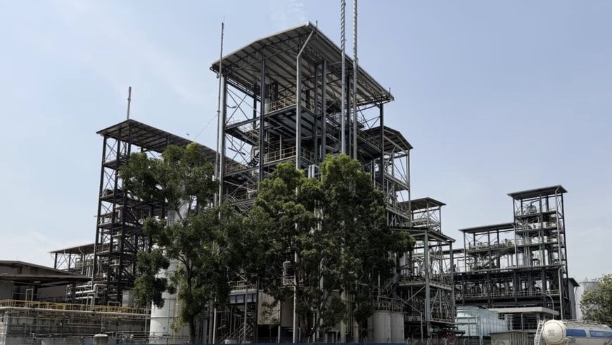 Pretreatment Process Improves Biofuel Feedstock Quality