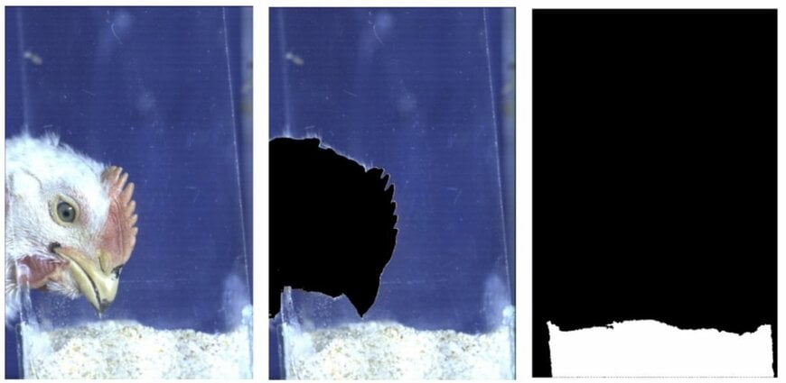 High-speed vision system for poultry feeding analysis