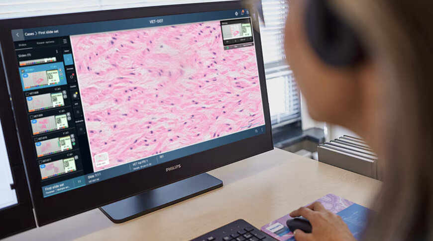 Cloud Platform for Scalable Digital Pathology Workflows