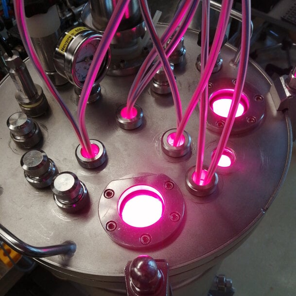 Consortium pour d&eacute;velopper des biofonderies de nouvelle g&eacute;n&eacute;ration et remplacer les produits chimiques fossiles par des solutions &agrave; base de microalgues