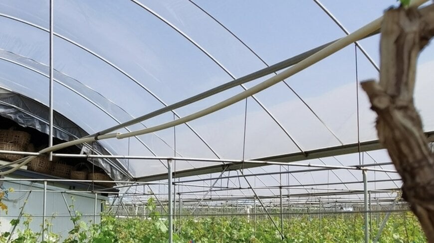 Additives Enhance Outdoor Plastics Durability and Stability