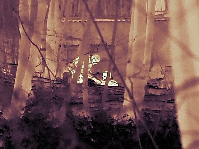 Stay Powered in the Field: Flir Announces Exclusive Scout Pro™ Charging Promotion for 2026