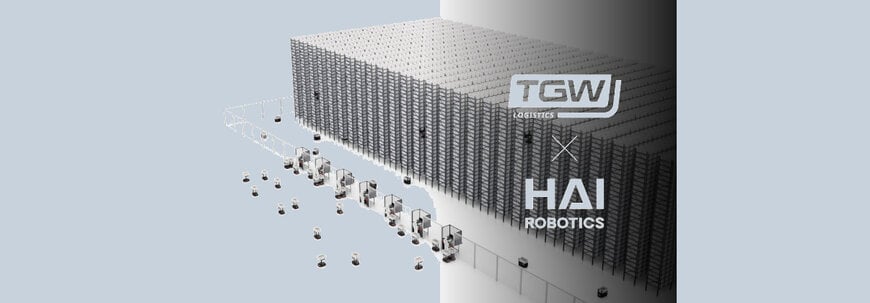 Modular Warehouse Automation with Case-Handling Robotics