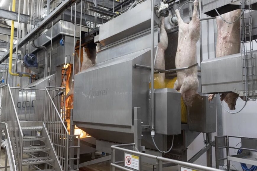 Frimesa scales pork processing with automation and robotics