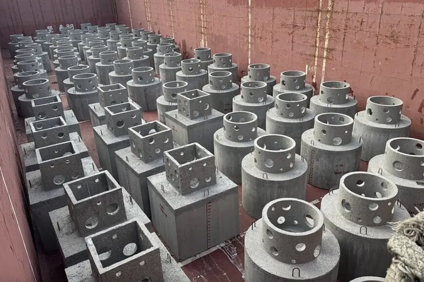 Artificial Reefs Support Marine Biodiversity Recovery in Hong Kong