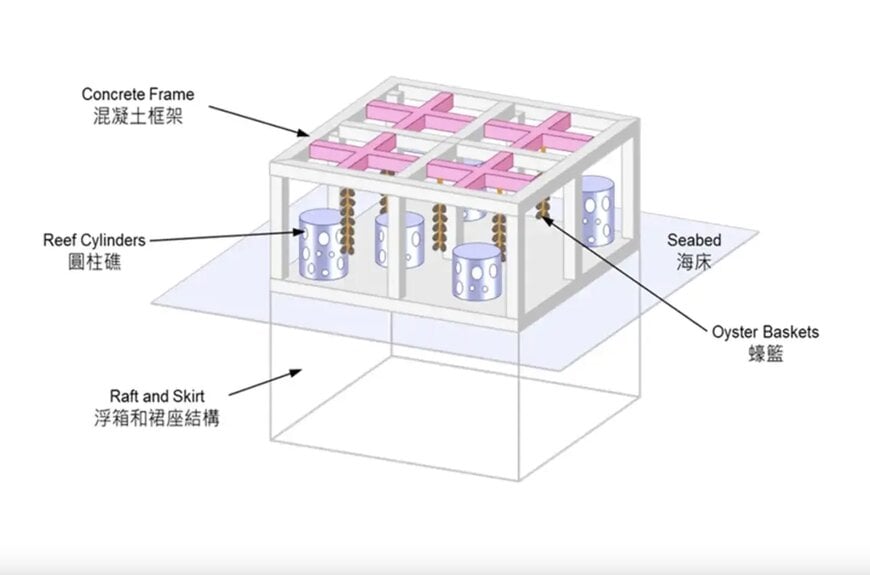 Artificial Reefs Support Marine Biodiversity Recovery in Hong Kong