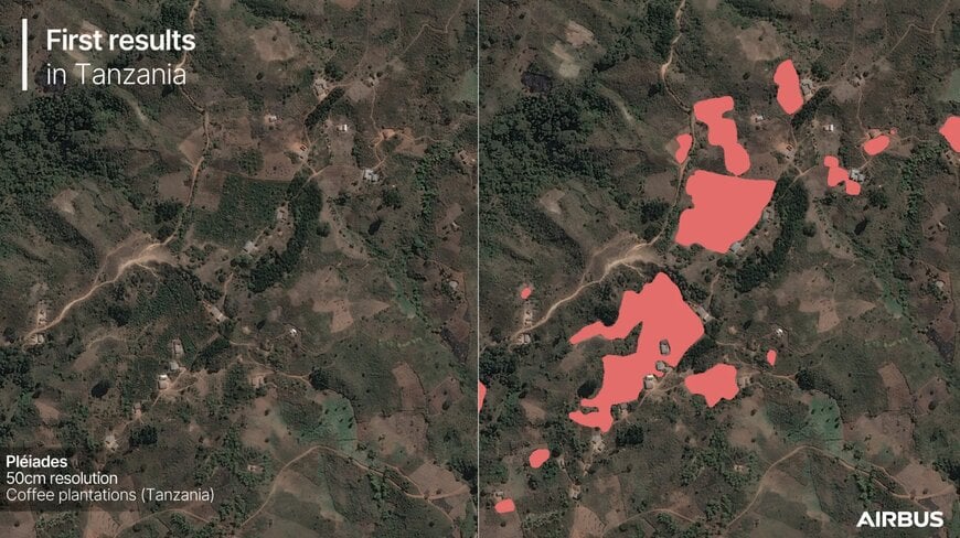 Satellite mapping for deforestation-free coffee supply chains