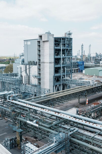 BASF expands menthol, linalool and citral production