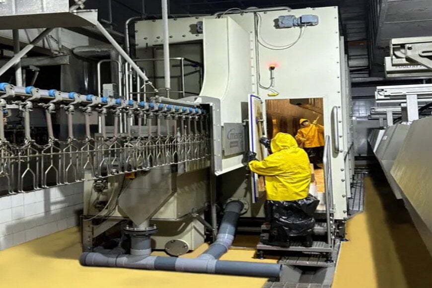 Delmon improves poultry quality and hygiene with air scalding