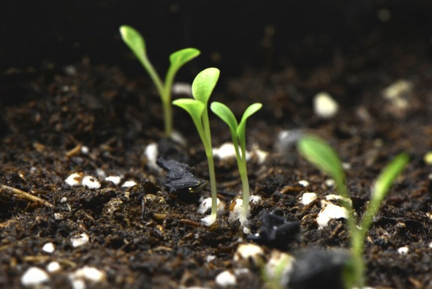 Biodegradable coating for water storage and herbicide protection
