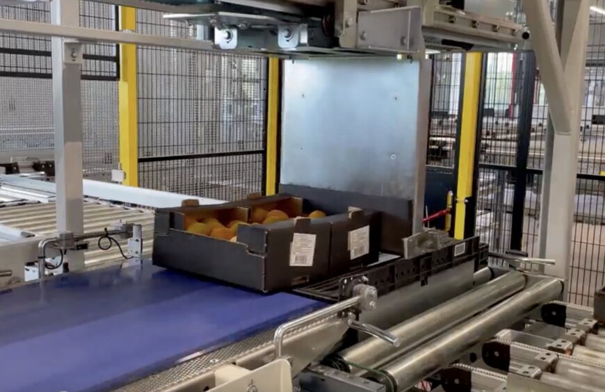 Case standardization for variable grocery SKU handling