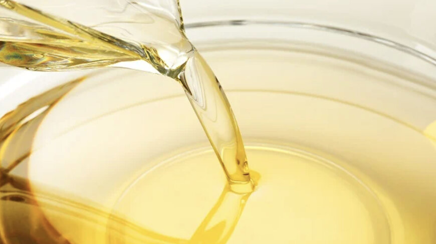 Mount Meru, Alfa Laval & RONO Develop Zambia Fat Processing Plant