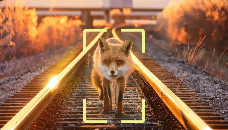 AI wildlife detection system for railway safety