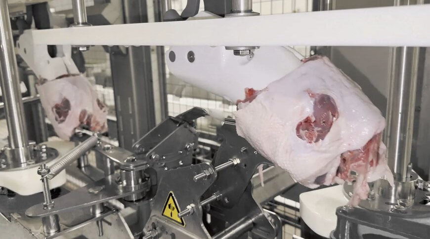 Automated Duck Deboning System for High-Volume Processing