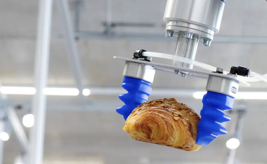 Solutions de préhension souples pour l'automatisation agroalimentaire et logistique