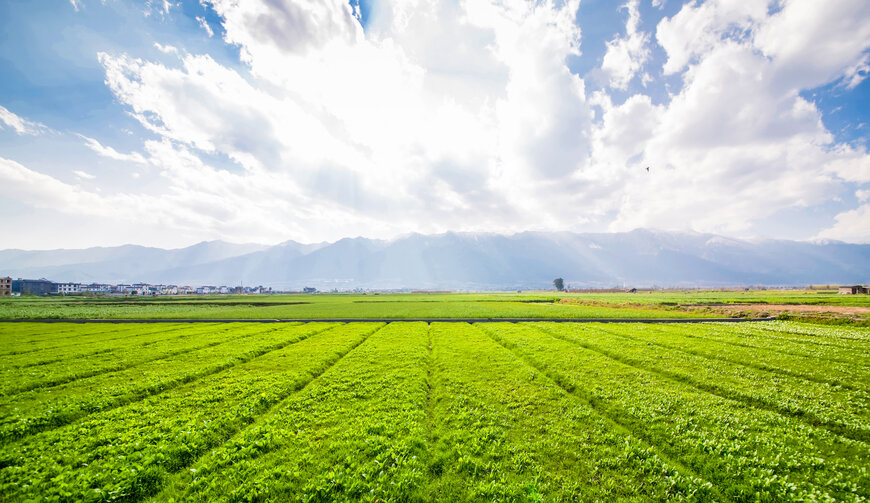 EU study confirms benefits of NEC&rsquo;s CropScope agricultural platform