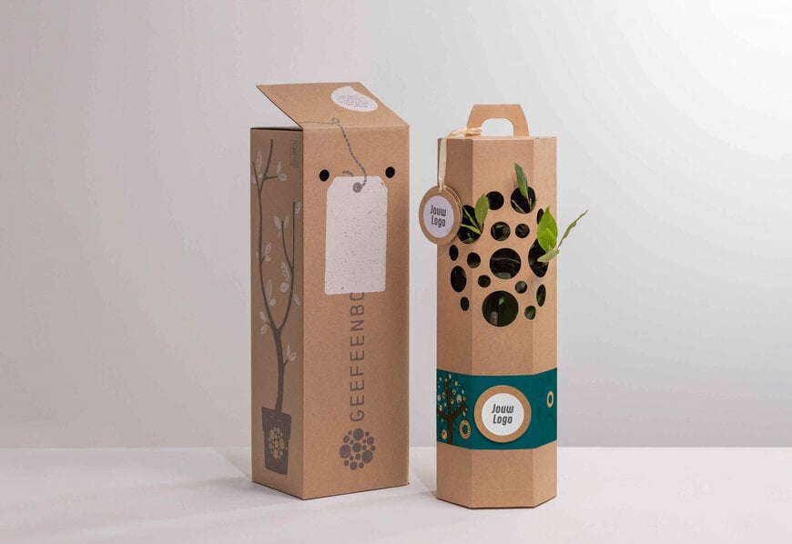 Fibre-Based Packaging Development for E-Commerce Plant Distribution
