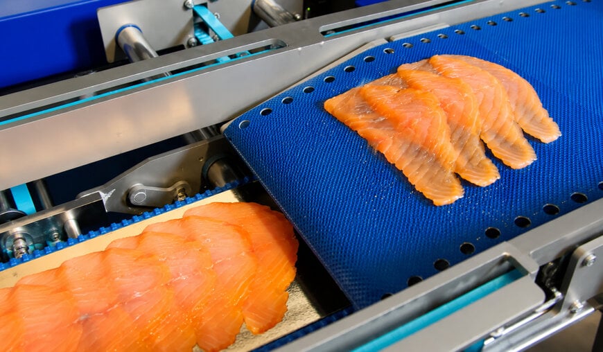 Las l&iacute;neas de procesamiento automatizadas ayudan a superar la escasez de mano de obra en la producci&oacute;n estacional de alimentos