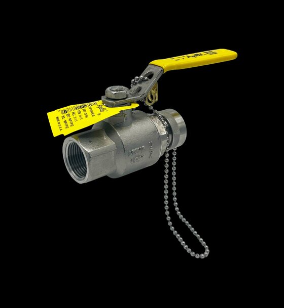 Stainless Steel Hose Cap Assembly for High-Purity Water Systems