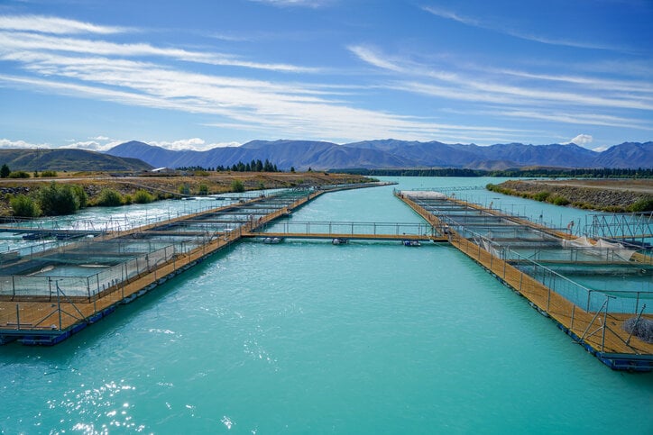 Stainless Steel Drive Couplings for Aquaculture Automation