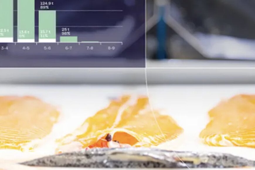 Integrated Architecture for Industrial Food Processing