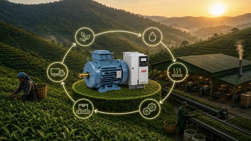 Transforming tea processing with smart motor solutions