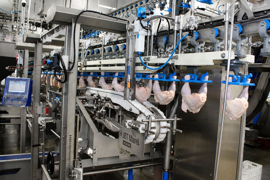 Il sezionamento automatizzato del pollame raggiunge 6.500 capi all’ora