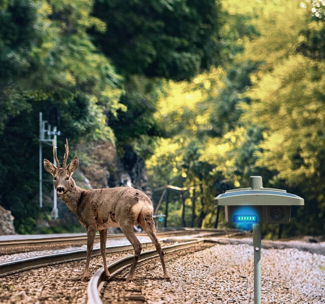 InnoTrans 2026: ElanRail aims to make Blue Sentinel the new European standard for train-wildlife collision