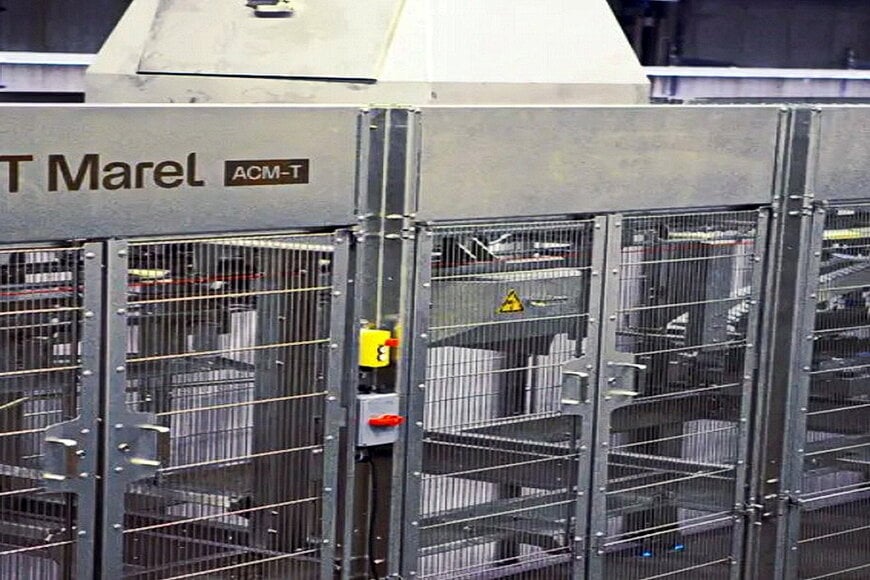 Automated Poultry Processing Line Architecture for High-Capacity Cutting Operations