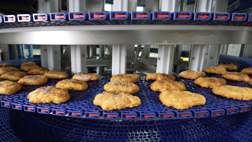 Optimizing Food Processing Through Hygienic Conveyor Equipment Design