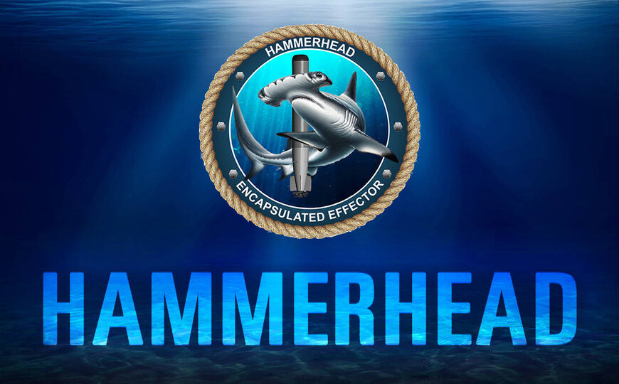 Autonomous Undersea Systems Deployment for Maritime Defense Infrastructure
