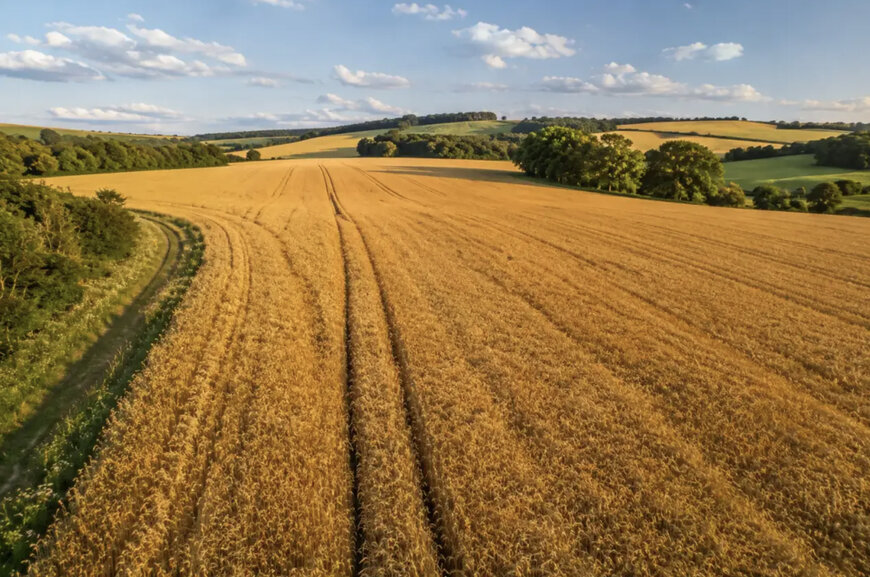 Standardized Accounting Frameworks for Diversified Agricultural Carbon Markets