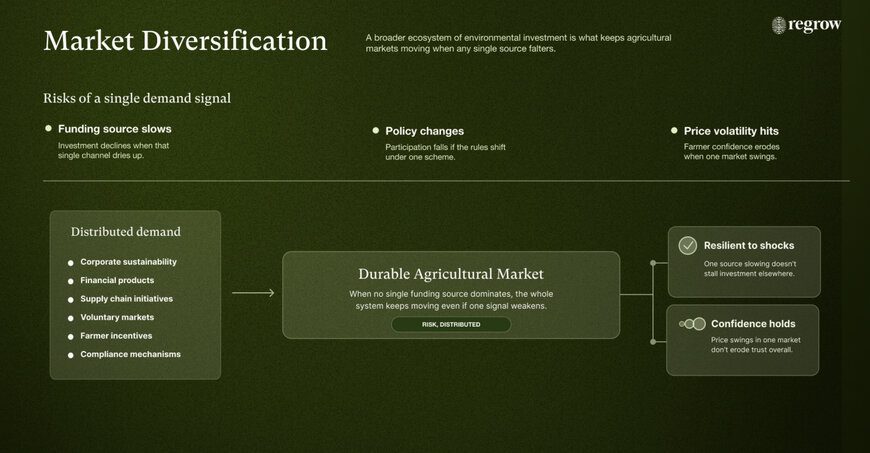 Standardized Accounting Frameworks for Diversified Agricultural Carbon Markets