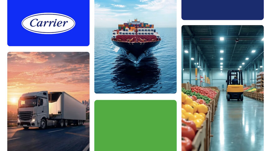 Refrigerated Transport Cold Chain Telematics Systems