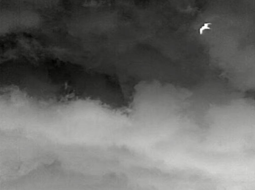 Thermische Camerabewaking voor Vogeldetectie bij Offshore Windturbines