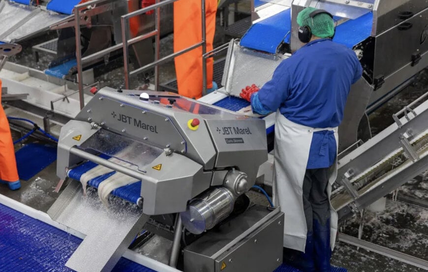 Equipos mecánicos de pelado de pescado blanco para plantas de procesamiento