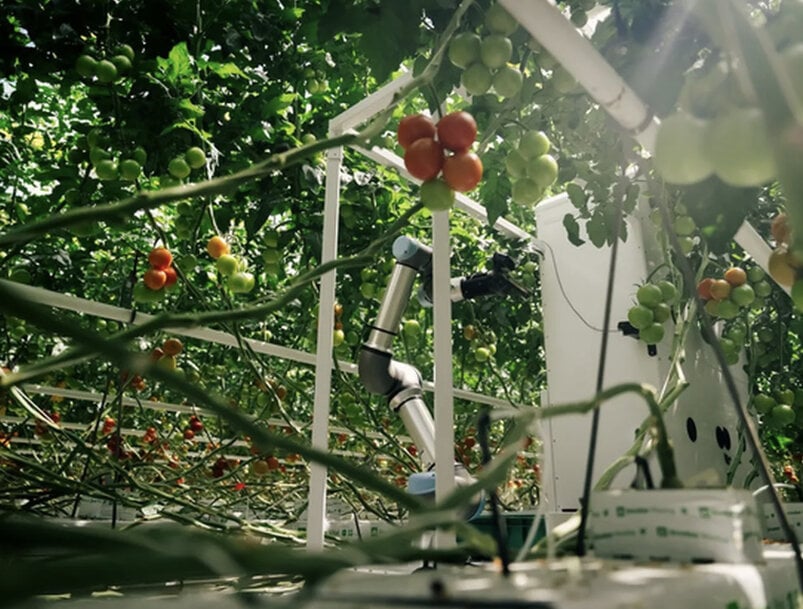 Autonomous Greenhouse Robotic Harvesting