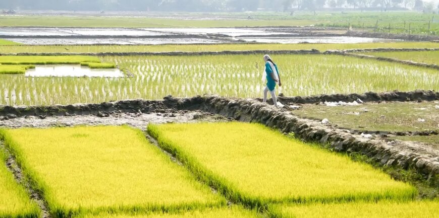 Smallholder Soil Carbon Quantification Under Verra VM0042