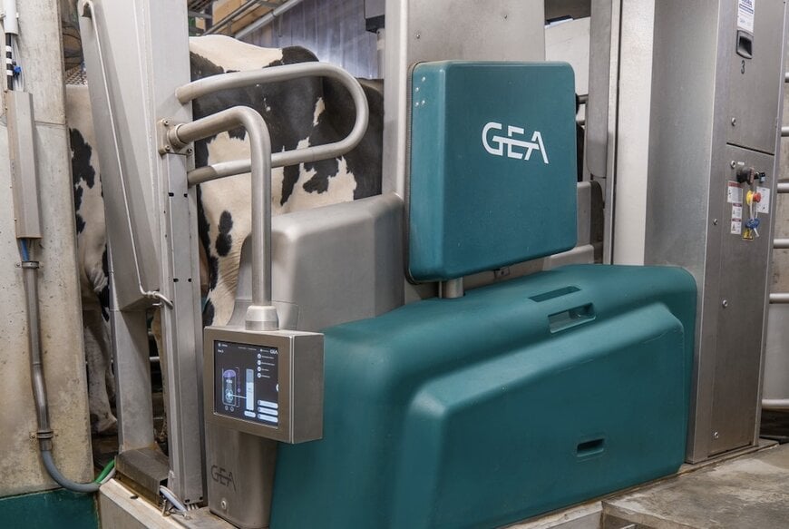 Automatisierte Batch-Melkinfrastruktur für mittlere bis große Herden