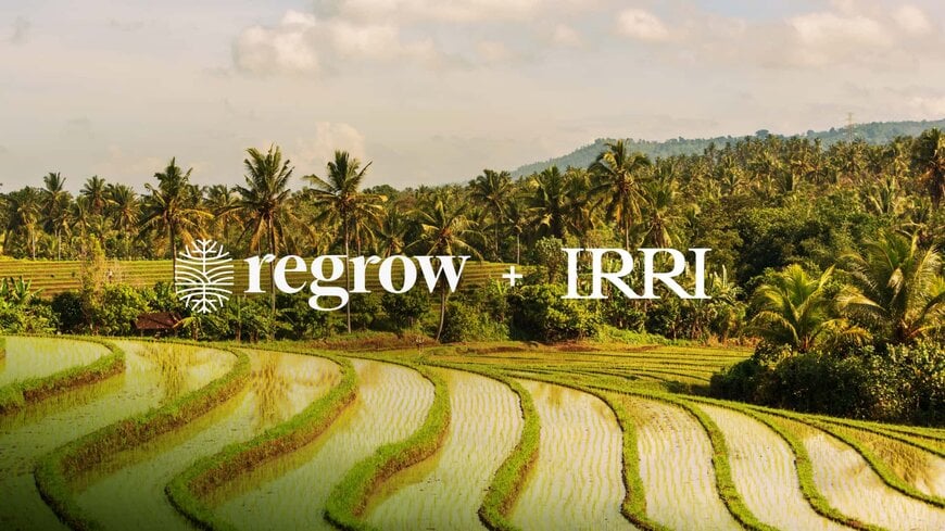 Agricultural Greenhouse Gas Modeling for Rice Systems