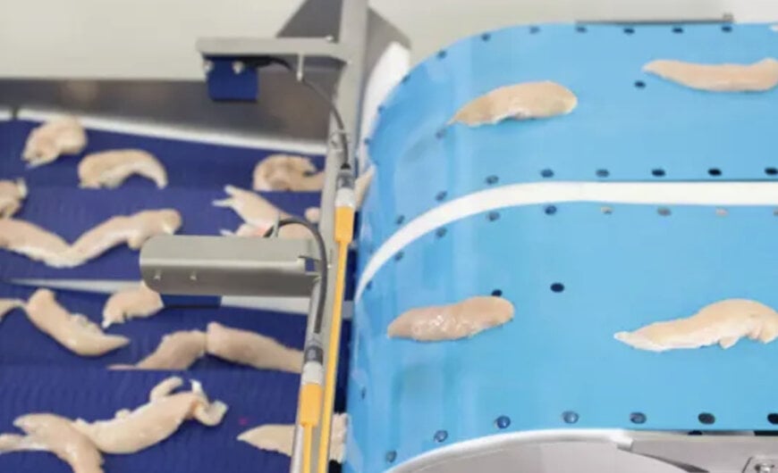 Sistema De Singulation Automatique Pour La Transformation Avicole