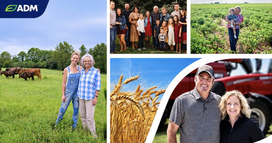 Farm Succession Planning Solutions for Agribusiness Resilience
