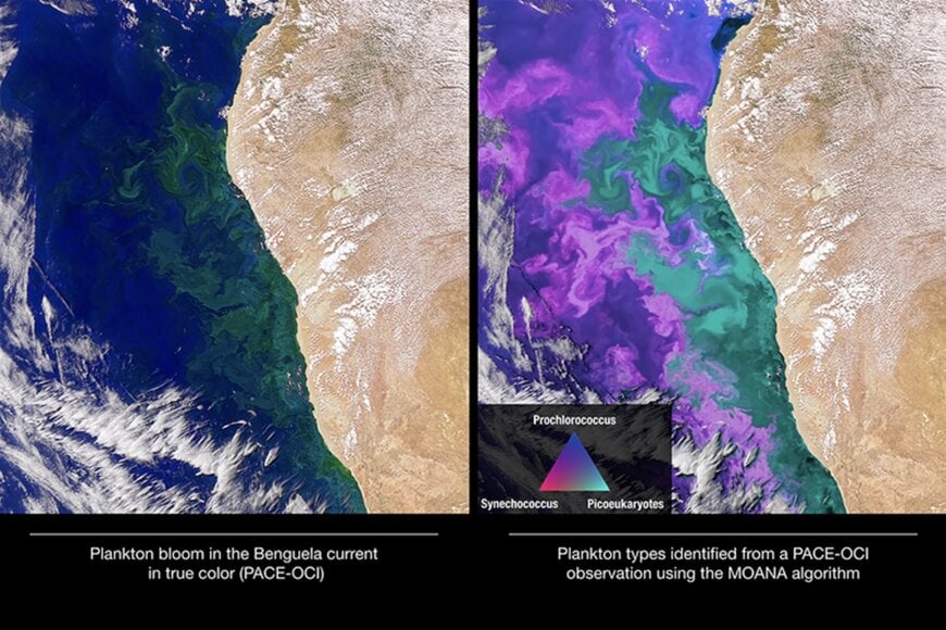 Hyperspectral Satellite Remote Sensing for Climate Science